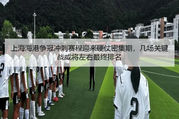 上海海港争冠冲刺赛程迎来硬仗密集期，几场关键战或将左右最终排名